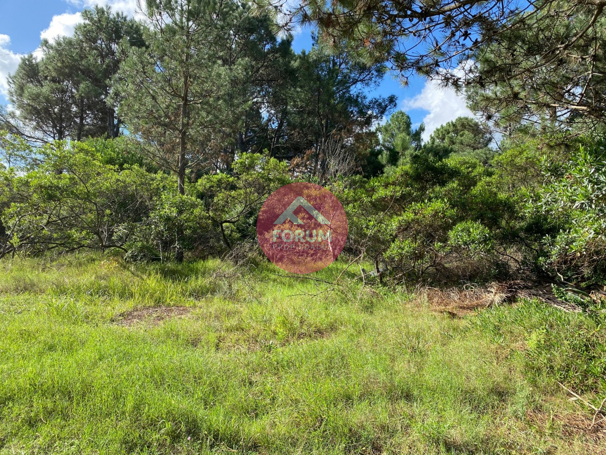 PUNTA BALLENA TÍO TOM A 500 MTS. DEL MAR 