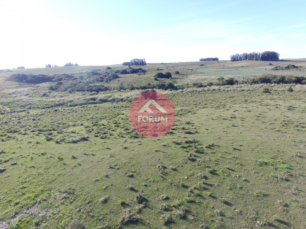 EXCELENTE CAMPO A TAN SÓLO 35 KM DE PUNTA DEL ESTE