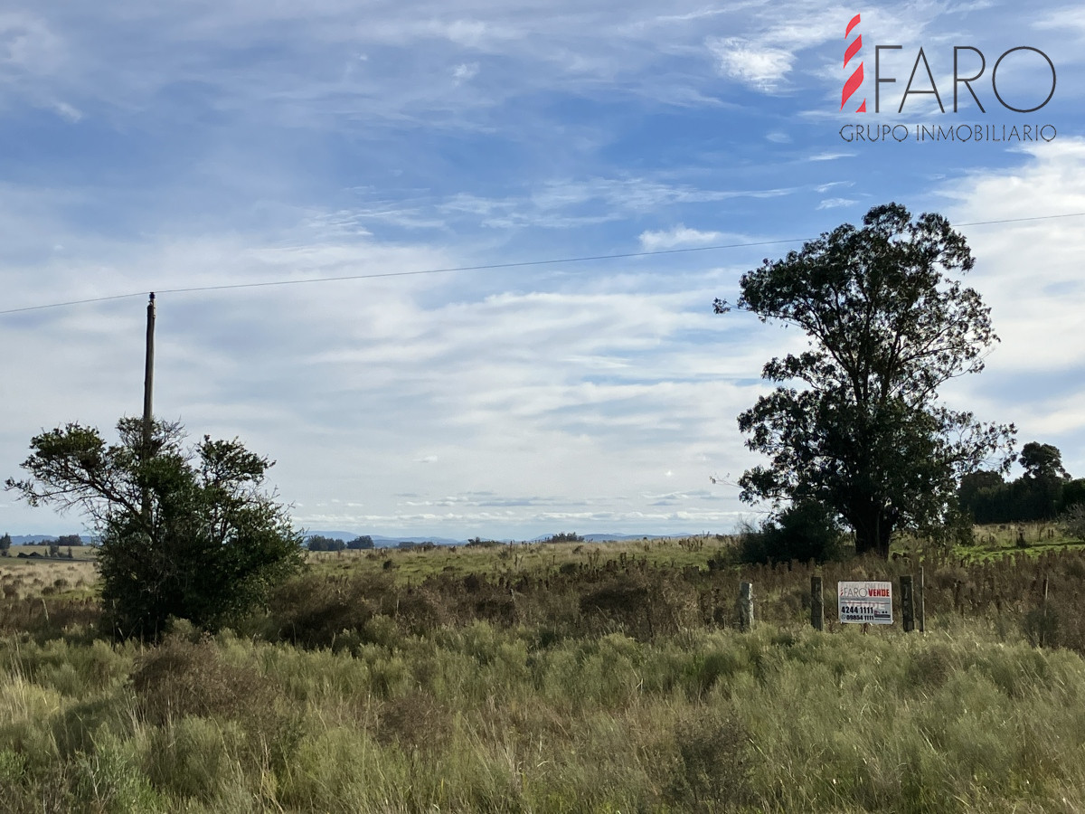 Chacra de 3 hectáreas en Paraje Carlos Carl.