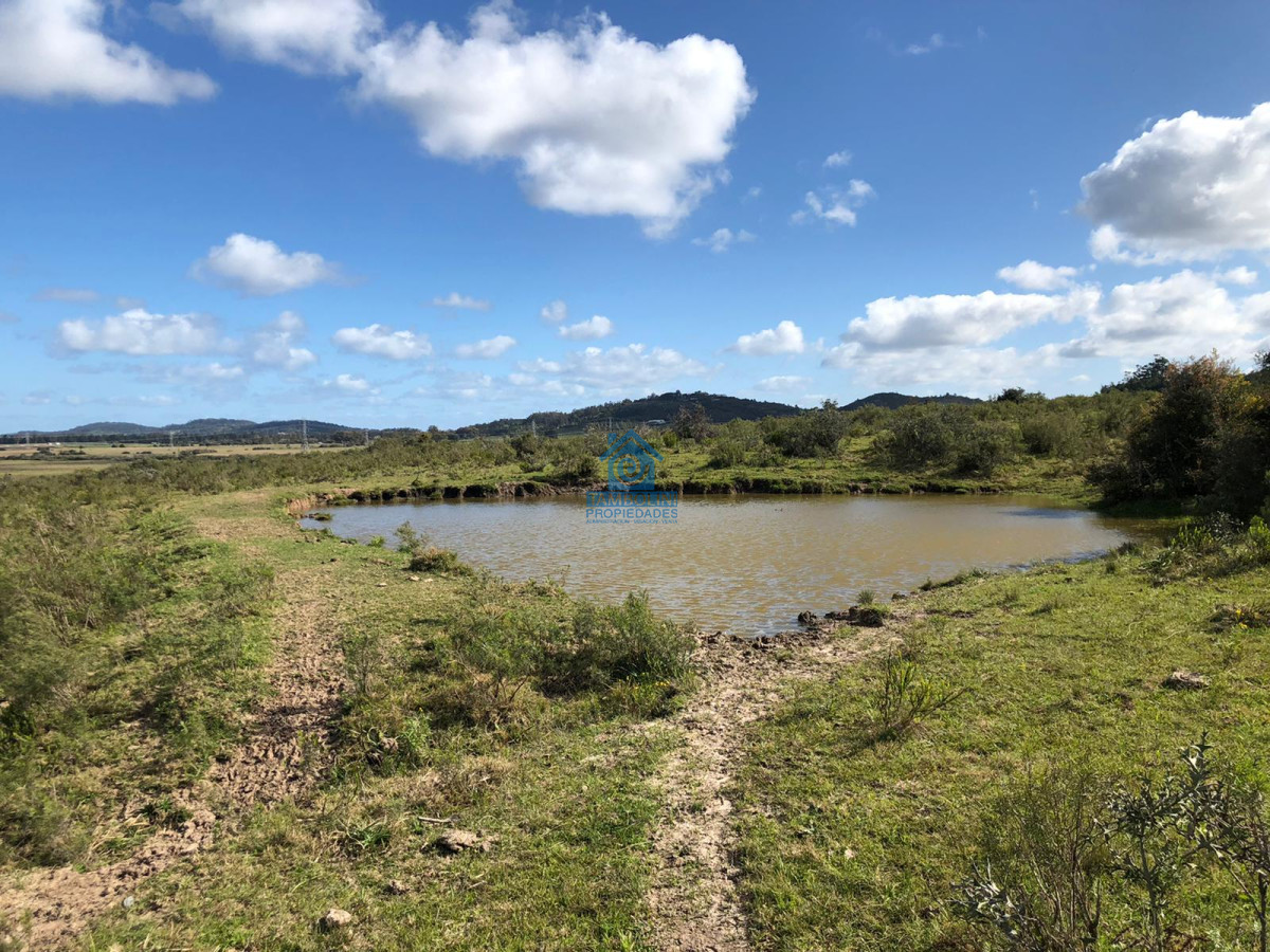 Hermoso Campo para Fraccionamiento